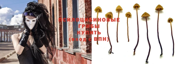 хмурый Нефтекумск