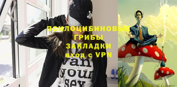 хмурый Нефтекумск