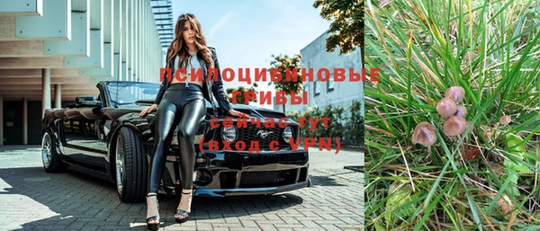 хмурый Нефтекумск